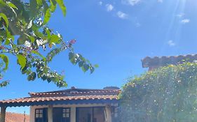 Casinha colibri